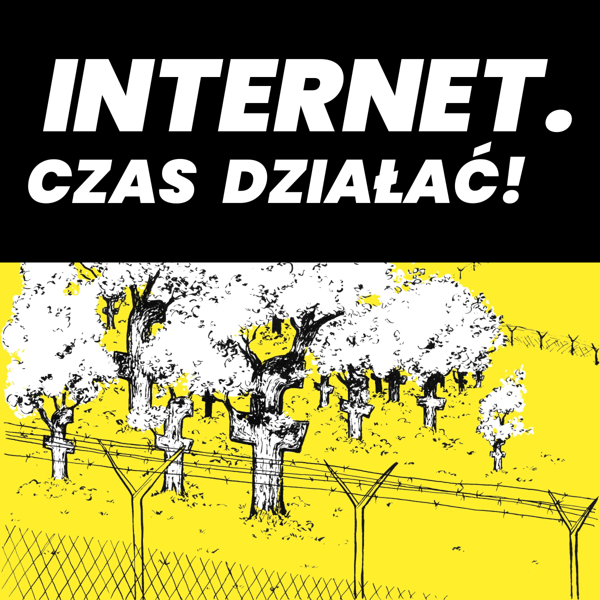 ICD #41 - Lasy Facebookowe 🌳